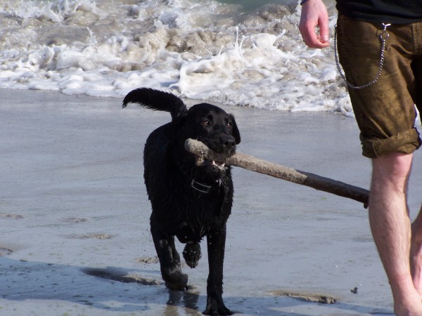 Morrigan beach fun 1236.jpg